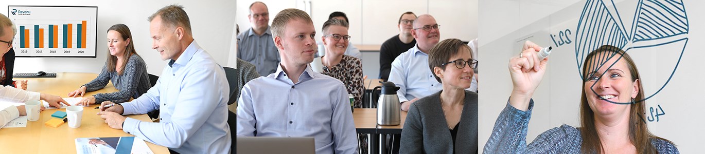 Karriere hos Revenu
