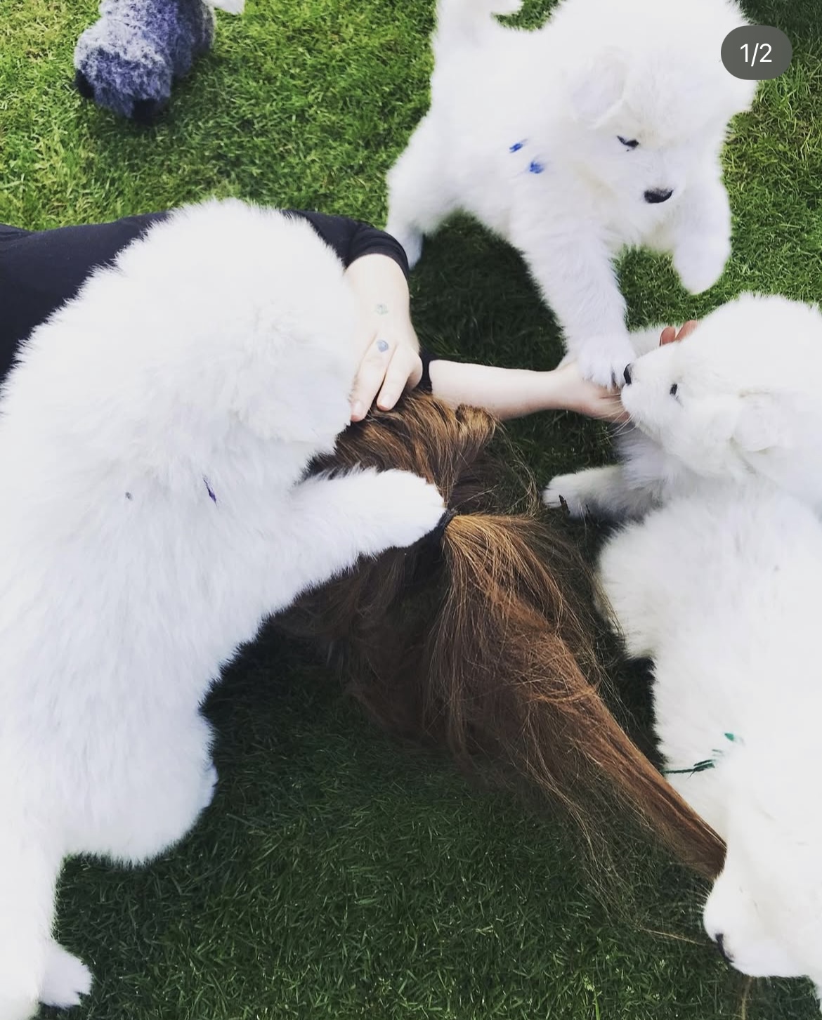 Line Korsgaard Olesen